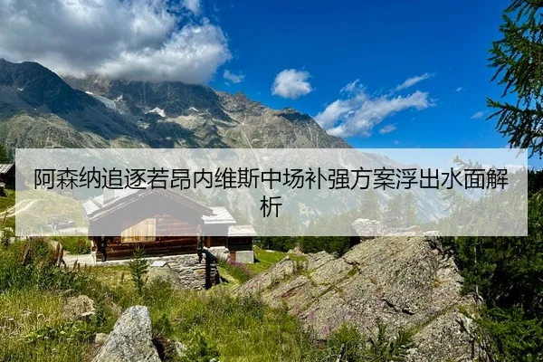 阿森纳追逐若昂内维斯中场补强方案浮出水面解析